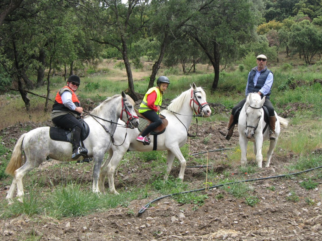 Sierra nevada horse riding