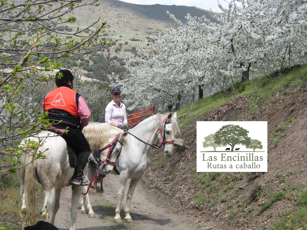 Sierra Nevada. Horse Riding.