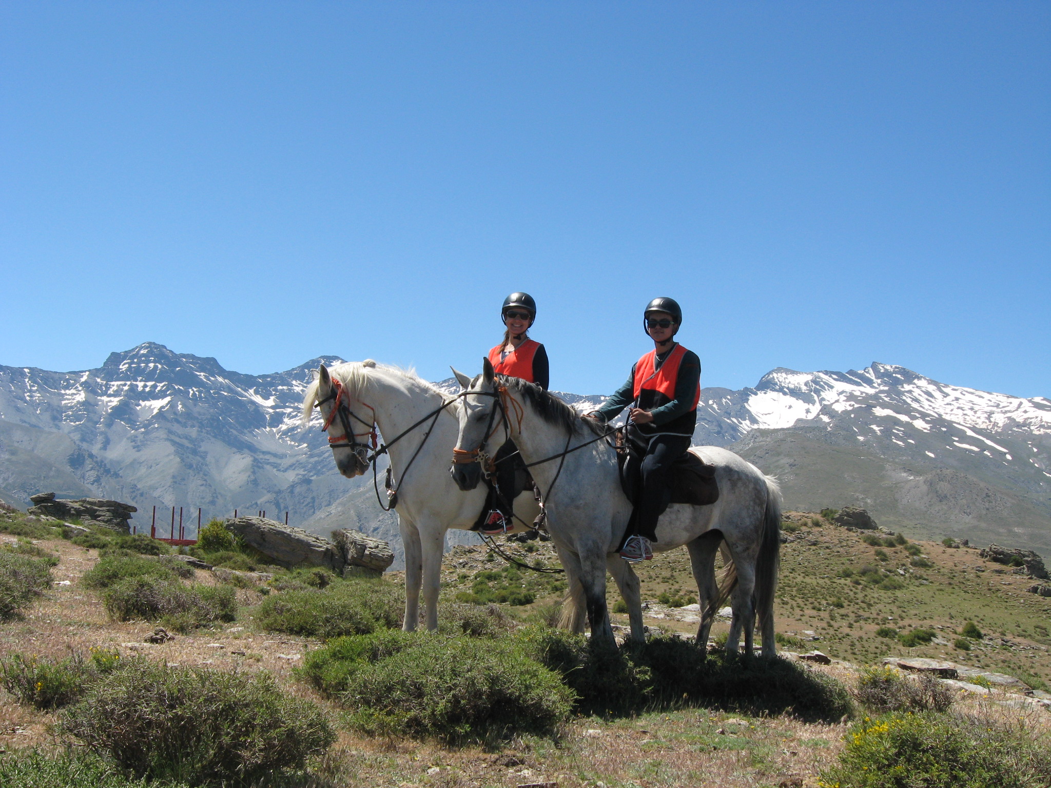 Sierra Nevada a caballo