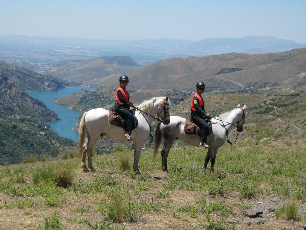 Horse Lavadero de la Reina