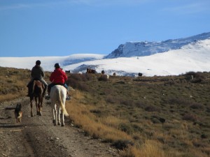 sierra nevada a caballo